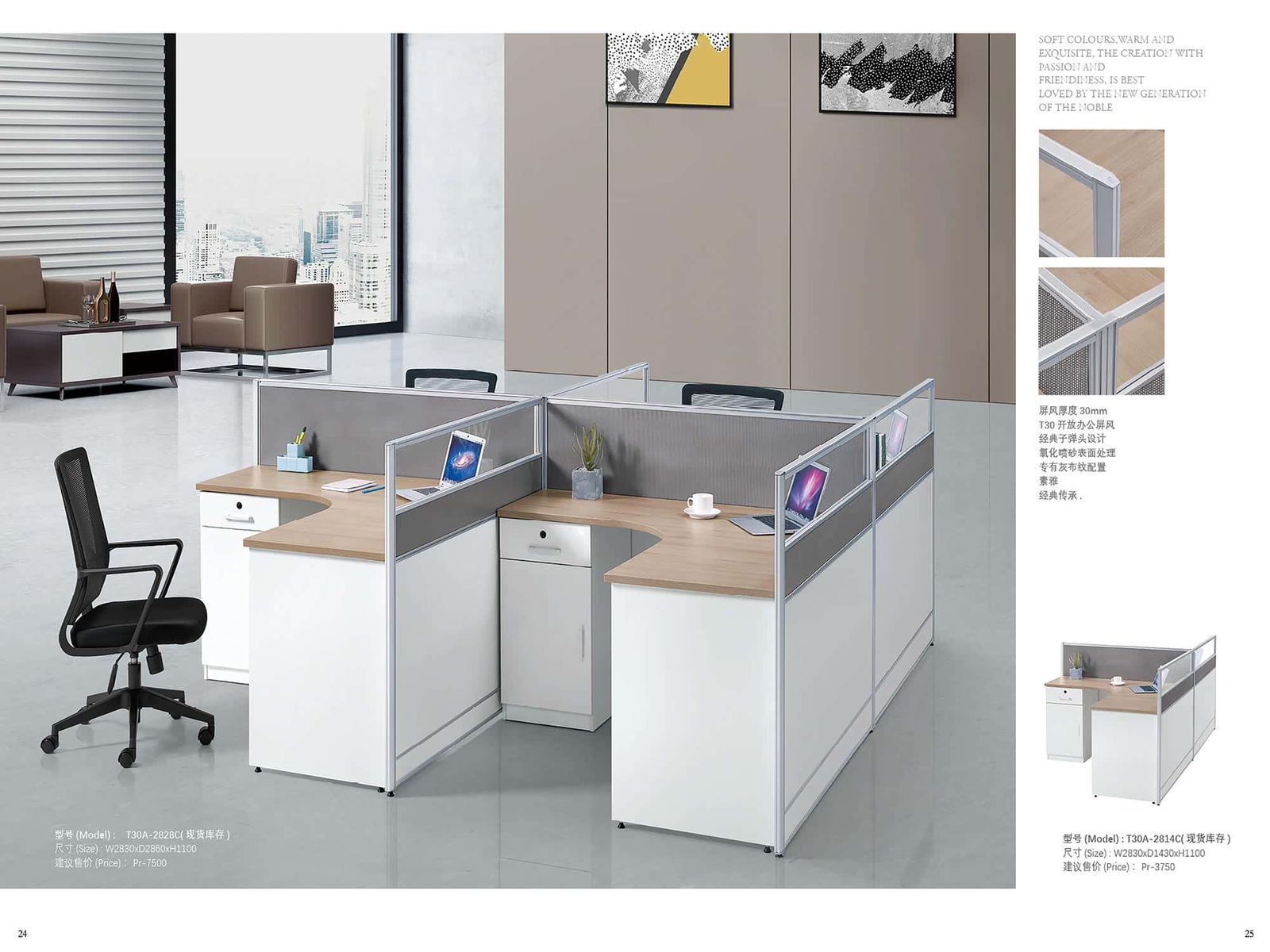 ABI-CUS131 Standard Market Partition gallery - Ergovari