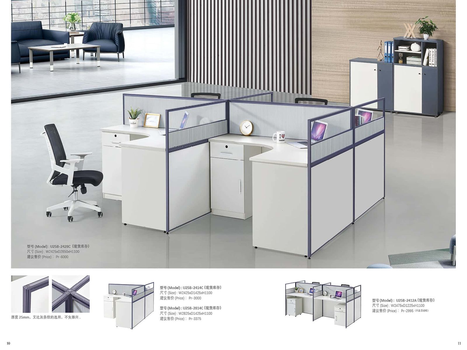 ABI-CUS131 Standard Market Partition gallery - Ergovari